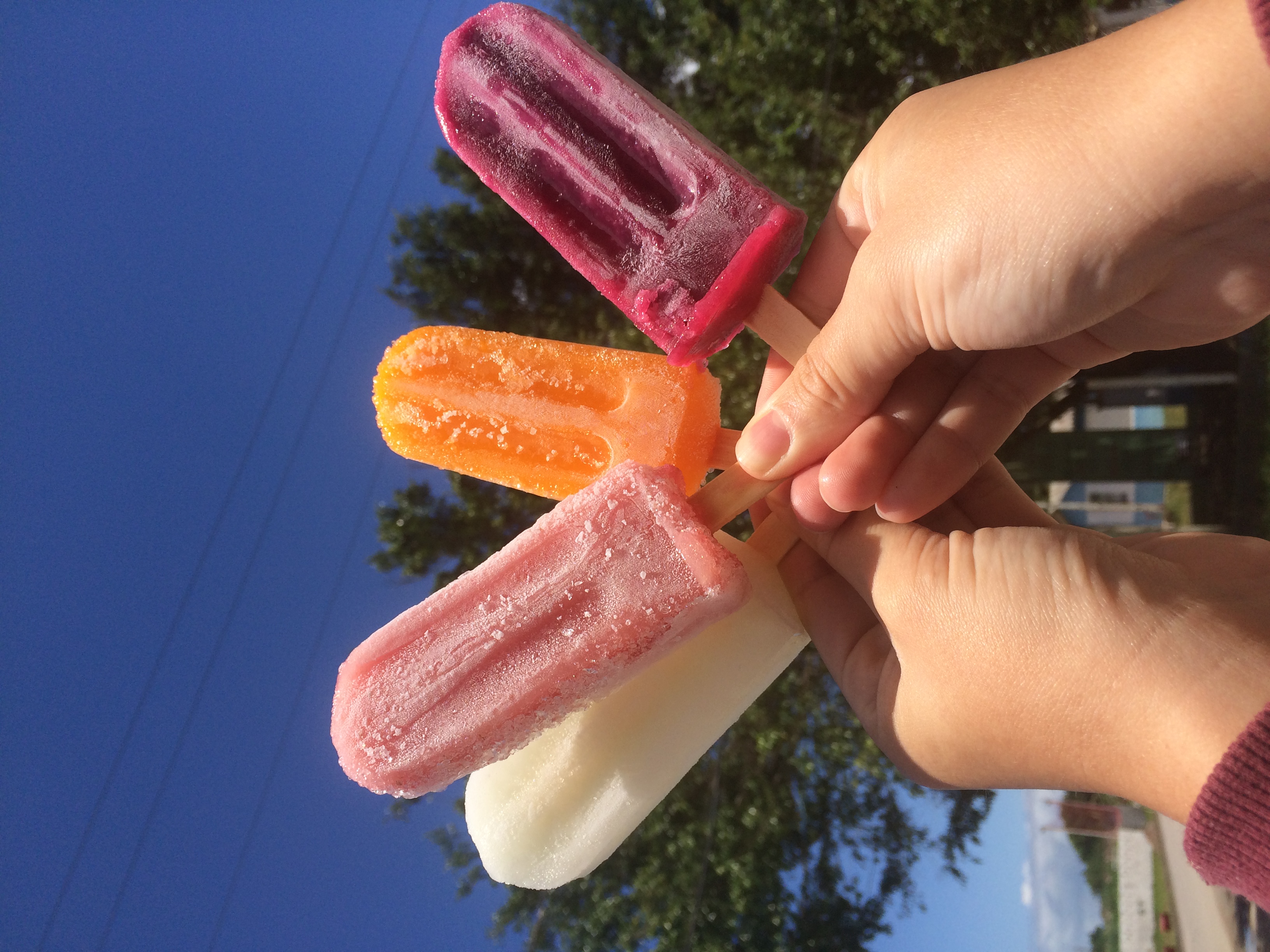 Sorvetes artesanais do litoral